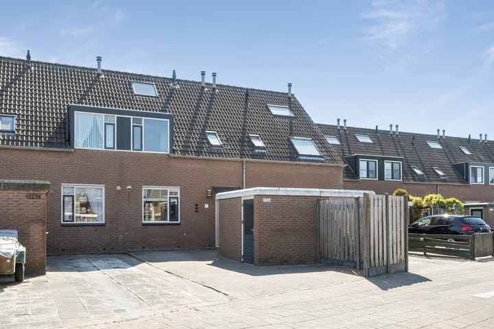 Foto 1 van Wierbalg 1746