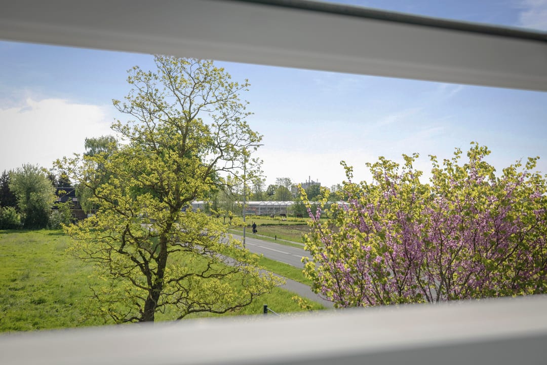 Foto 28 van Deventerstraat 617