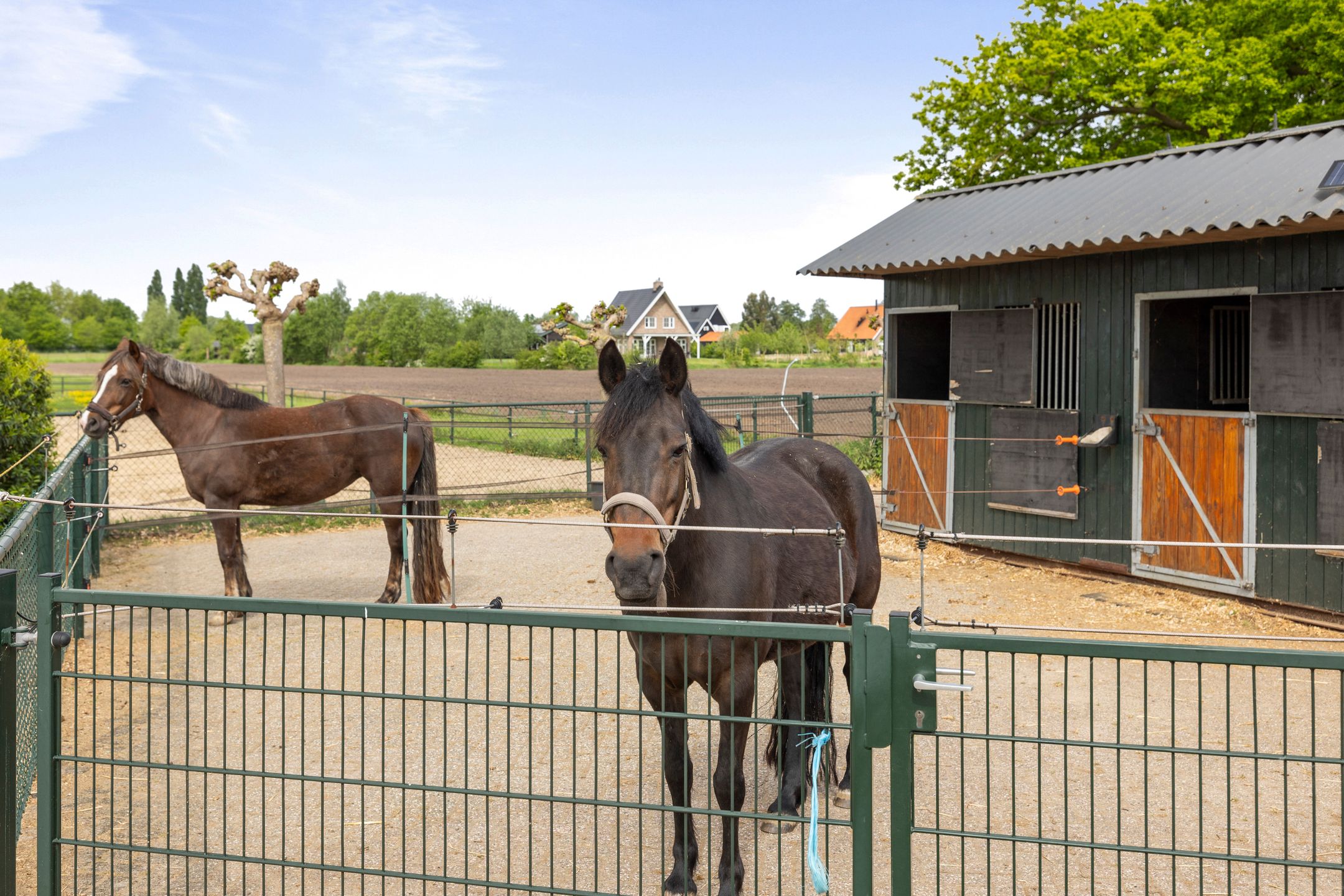 Foto 60 van Deventerstraat 617