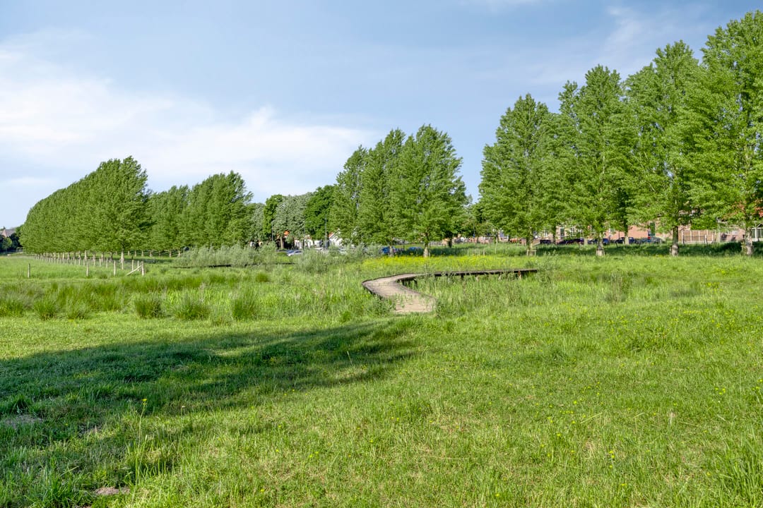 Foto 73 van Bergstraat 6