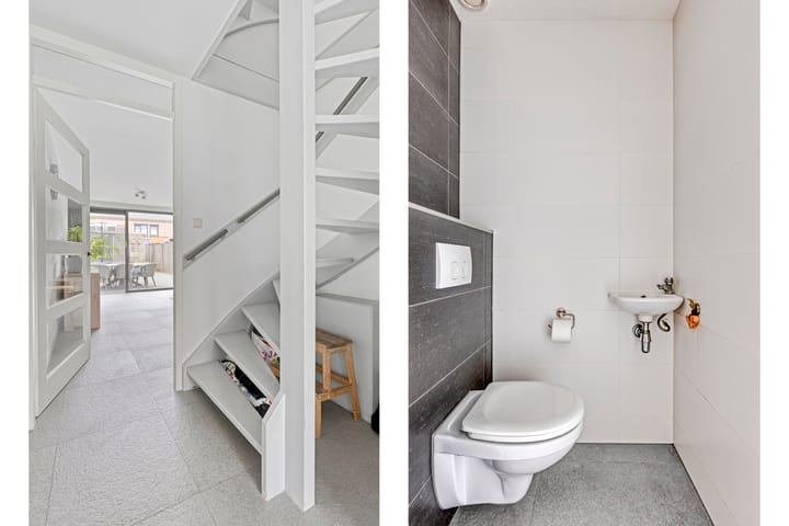 Foto 6 van Heivlinder 10