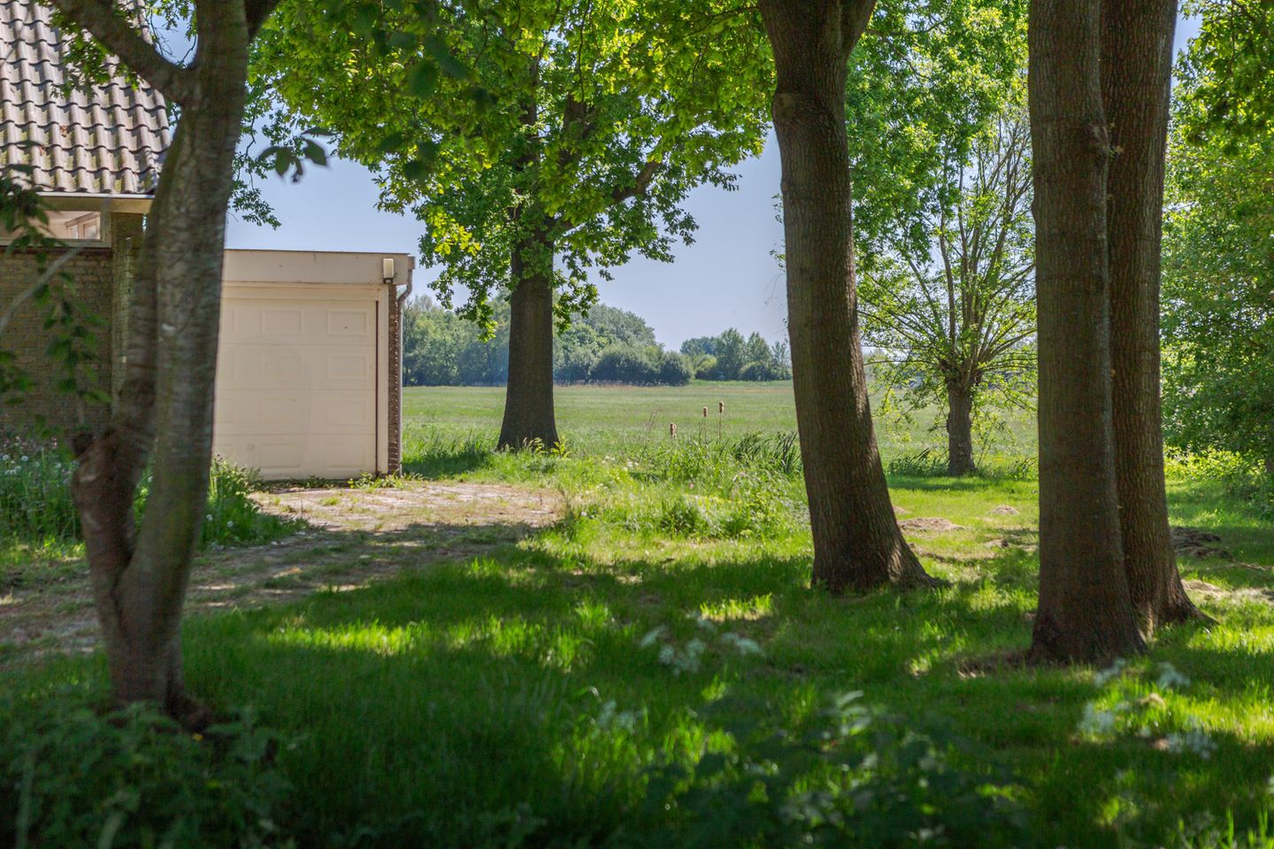 Photo 20 of Fiifgeawei 8