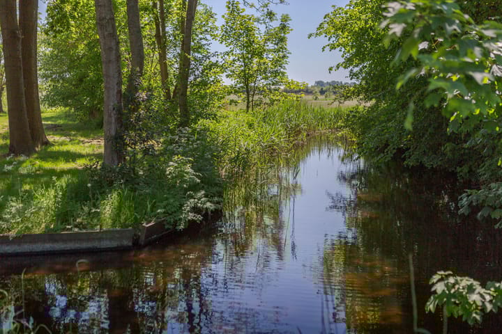 Foto 22 van Fiifgeawei 8