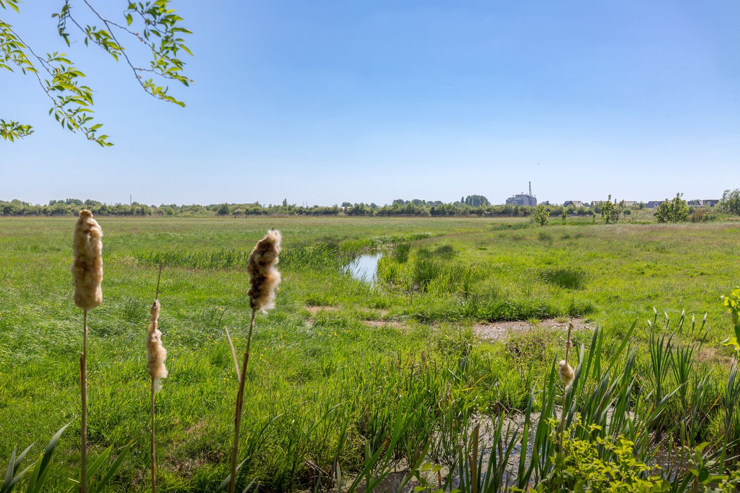 Photo 25 of Fiifgeawei 8