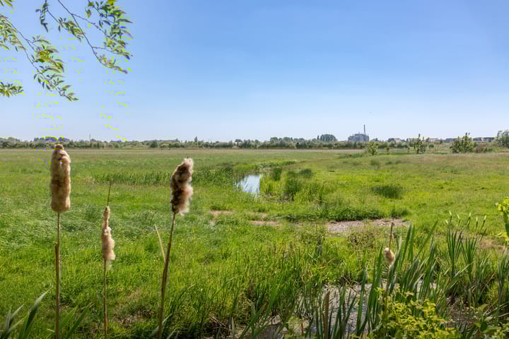 Foto 25 van Fiifgeawei 8