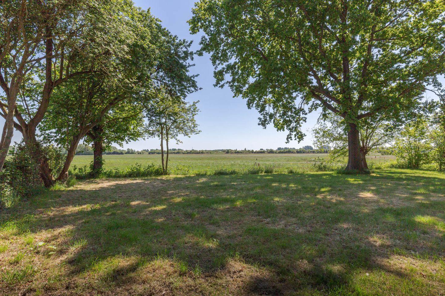 Photo 5 of Fiifgeawei 8