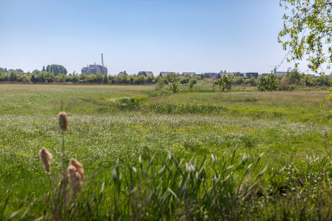 Photo 32 of Fiifgeawei 8