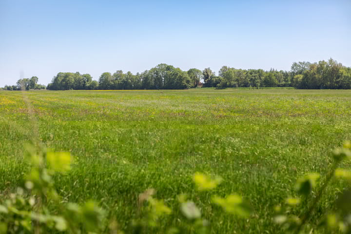 Foto 34 van Fiifgeawei 8