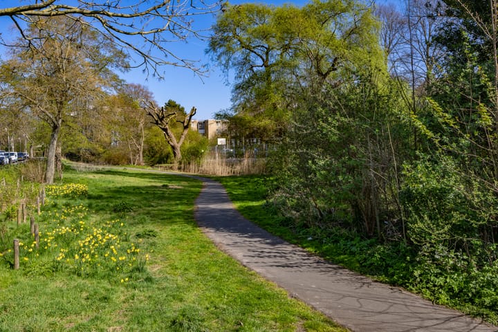 Foto 35 van Tulpstraat 26