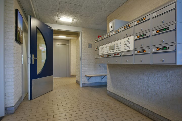 Foto 4 van Canadese Gans 43