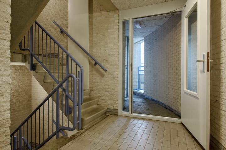 Foto 5 van Canadese Gans 43