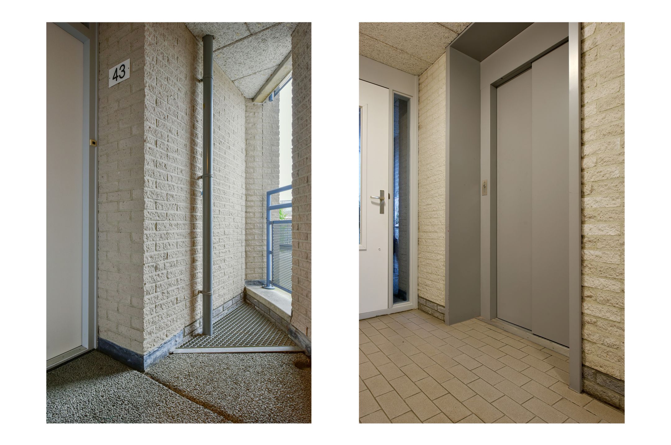 Foto 6 van Canadese Gans 43