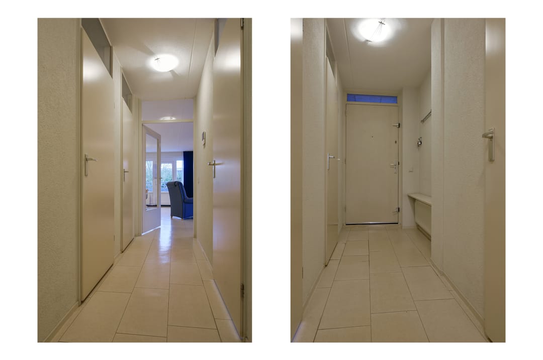 Foto 7 van Canadese Gans 43