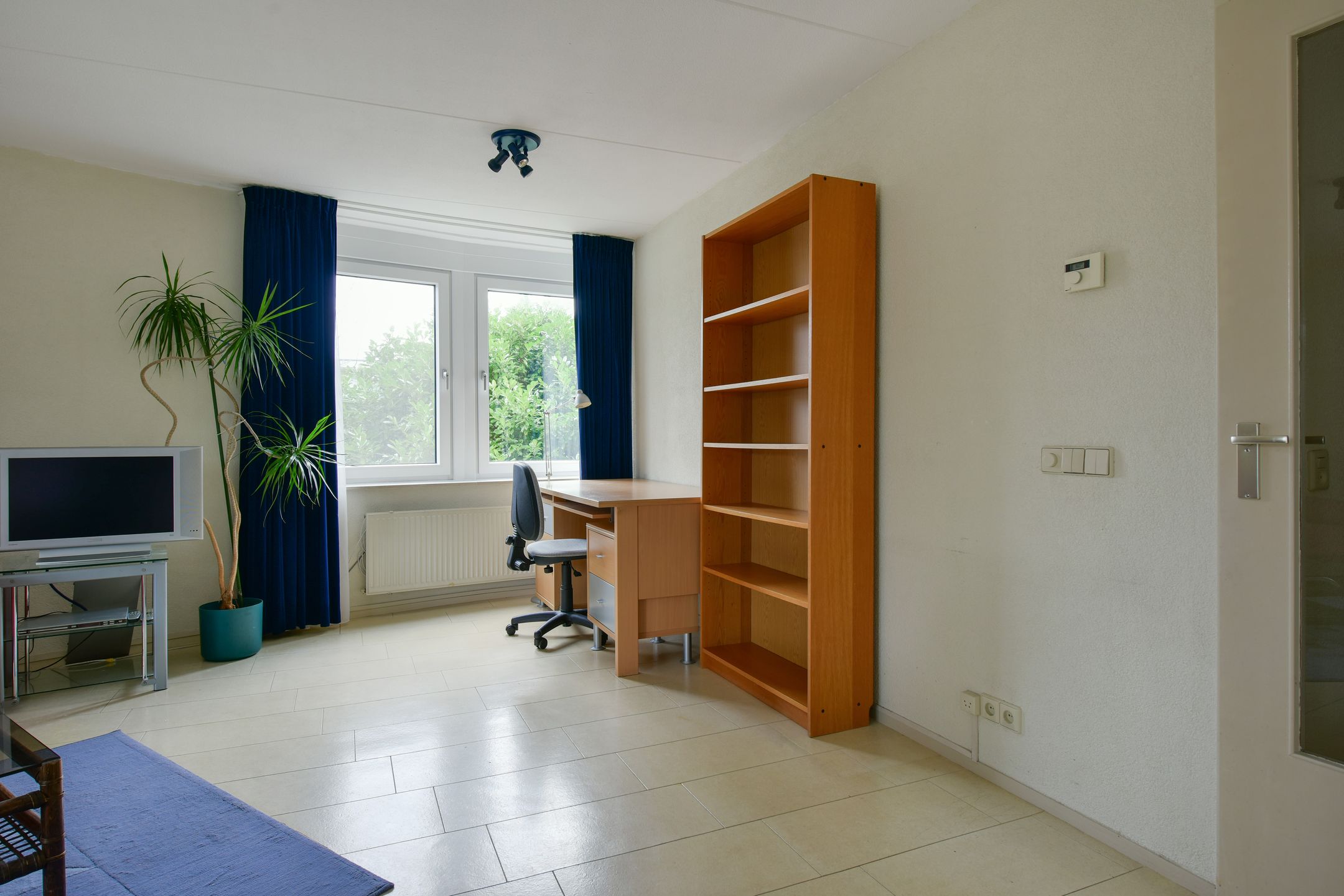 Foto 9 van Canadese Gans 43