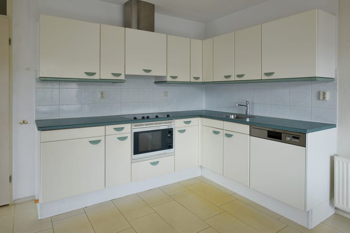 Foto 10 van Canadese Gans 43