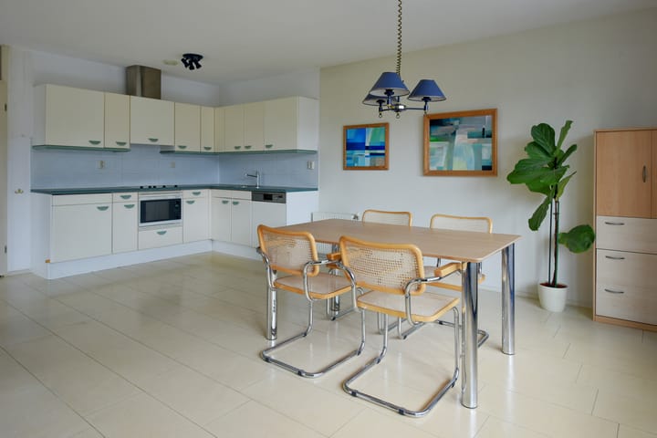 Foto 11 van Canadese Gans 43