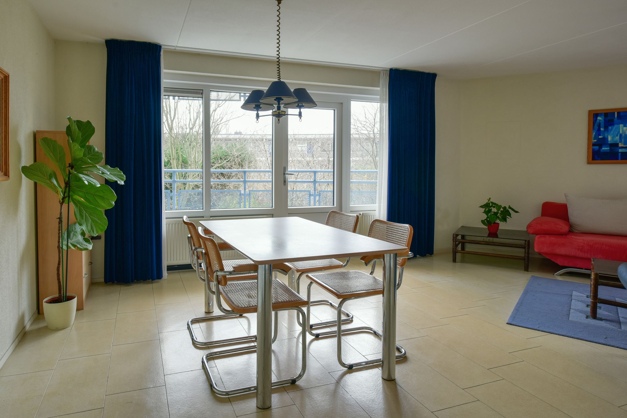 Foto 12 van Canadese Gans 43