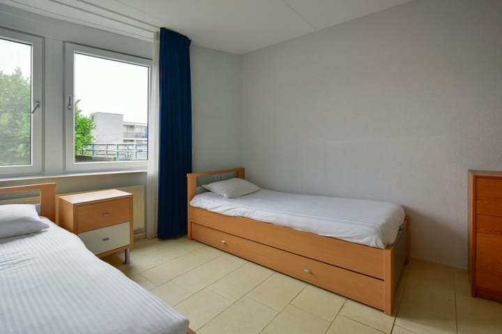 Foto 15 van Canadese Gans 43