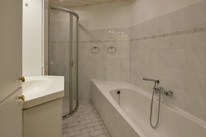 Foto 19 van Canadese Gans 43