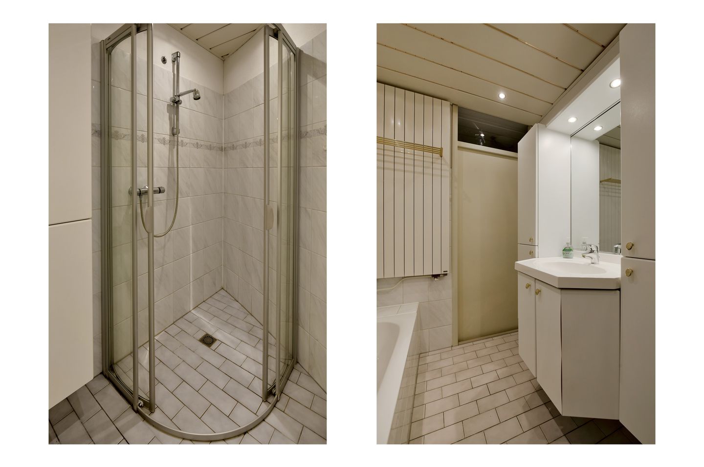 Foto 20 van Canadese Gans 43