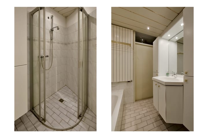 Foto 20 van Canadese Gans 43