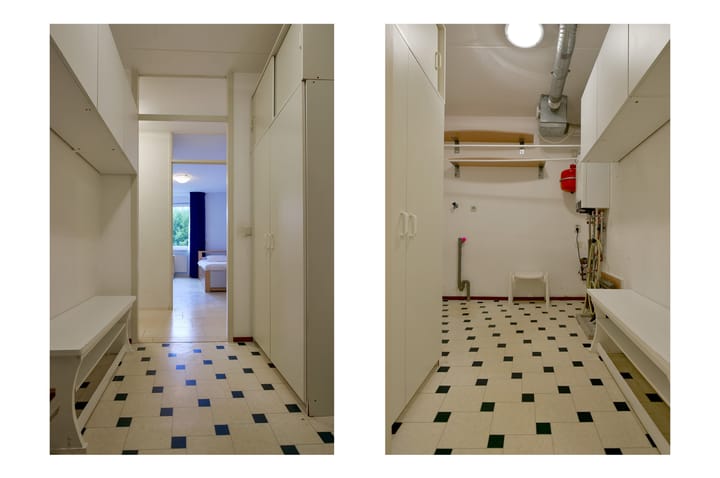 Foto 21 van Canadese Gans 43