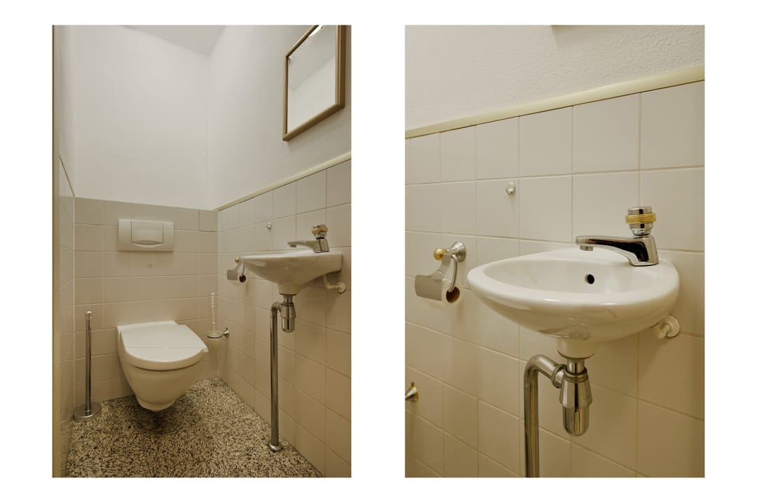 Foto 22 van Canadese Gans 43