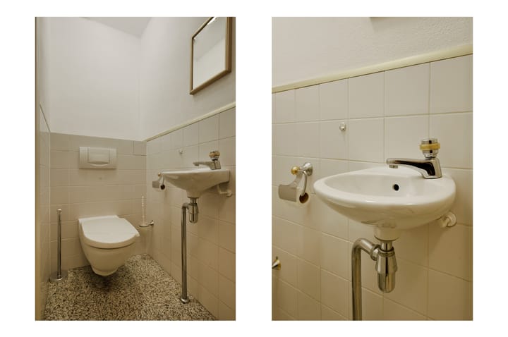 Foto 22 van Canadese Gans 43