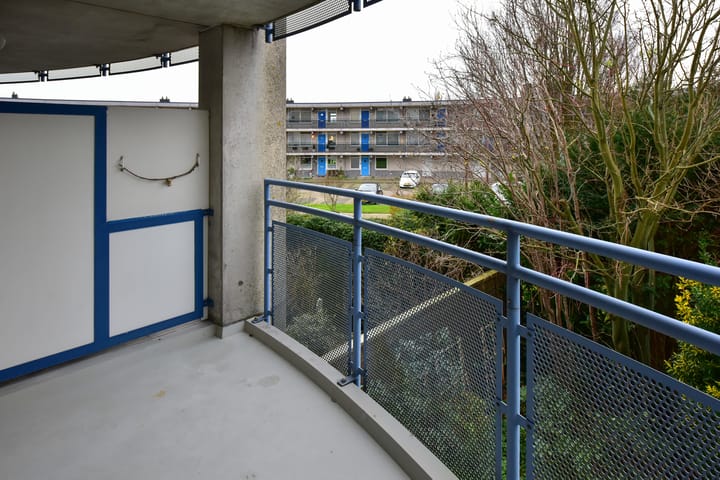 Foto 23 van Canadese Gans 43