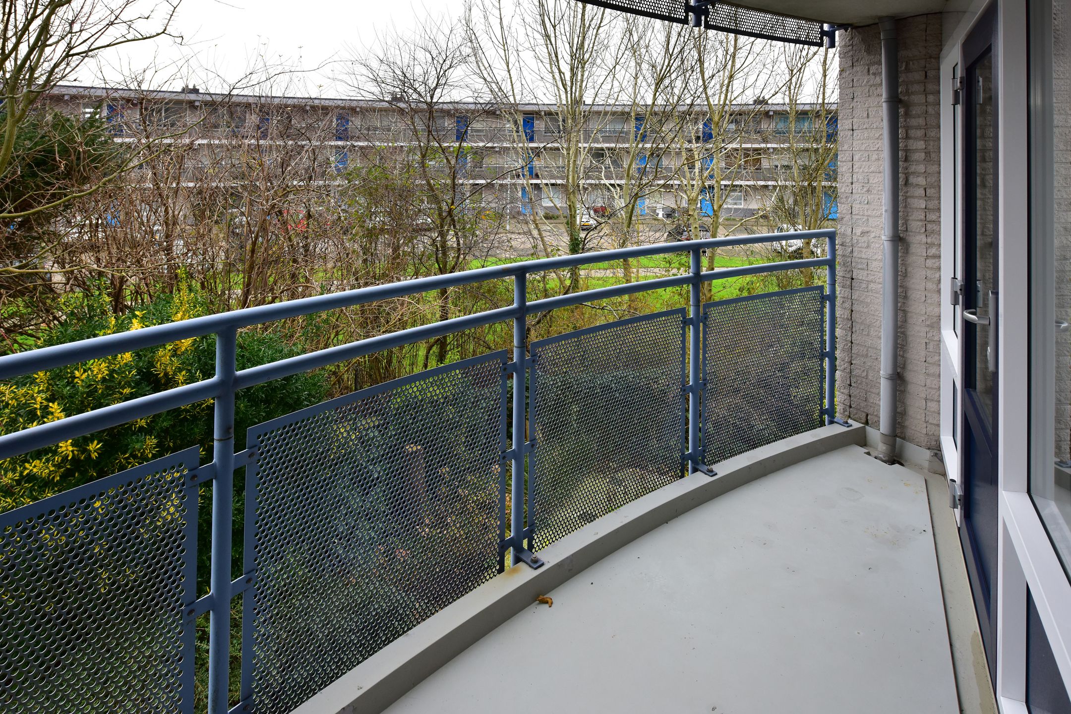 Foto 24 van Canadese Gans 43