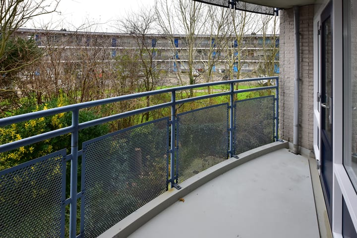 Foto 24 van Canadese Gans 43