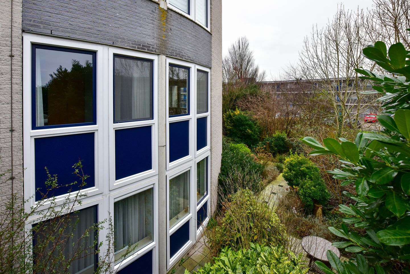 Foto 25 van Canadese Gans 43