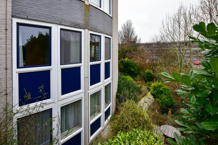 Foto 25 van Canadese Gans 43