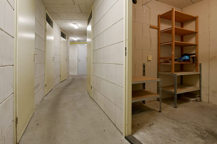 Foto 26 van Canadese Gans 43