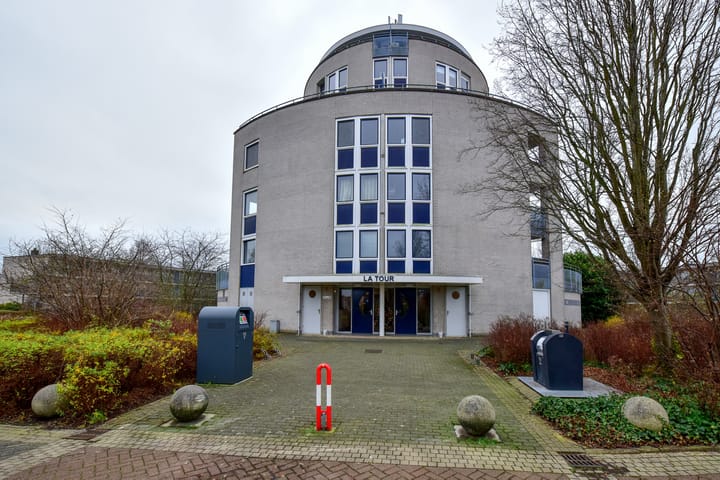 Foto 27 van Canadese Gans 43