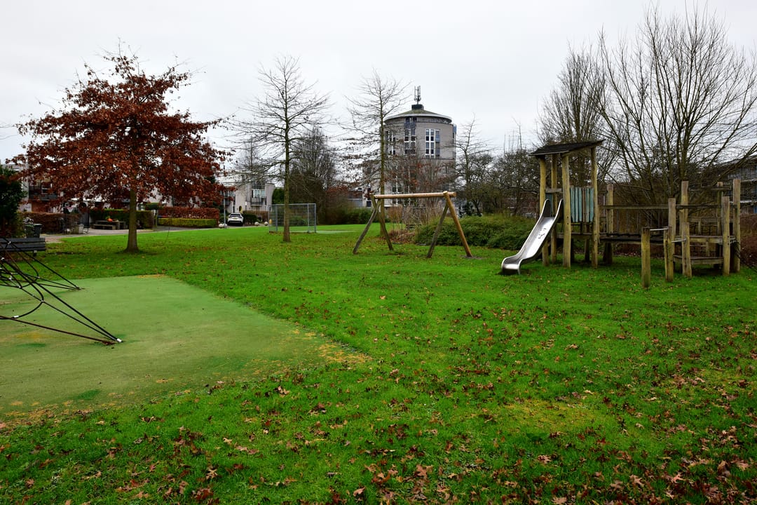 Foto 28 van Canadese Gans 43