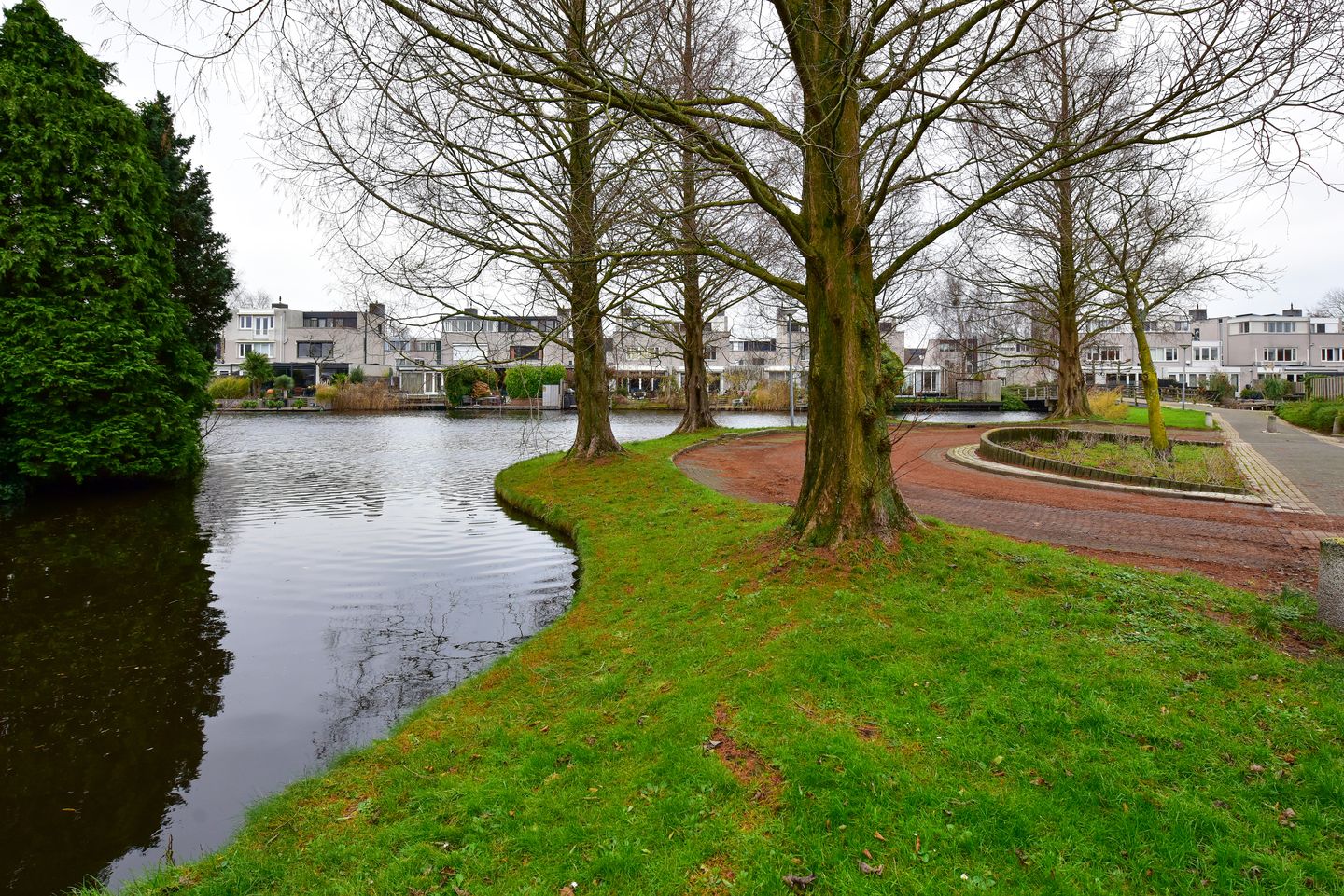 Foto 29 van Canadese Gans 43