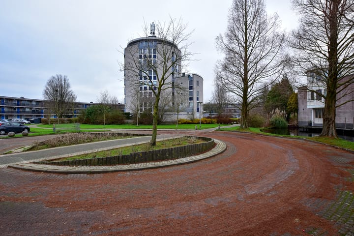 Foto 30 van Canadese Gans 43