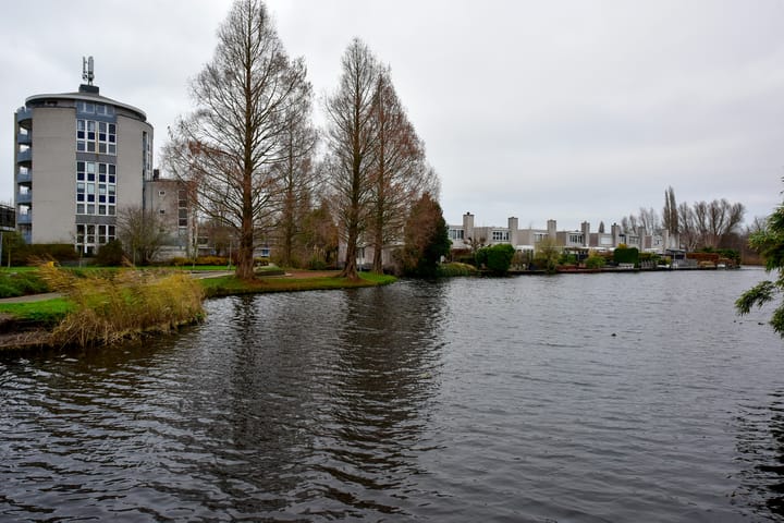 Foto 31 van Canadese Gans 43