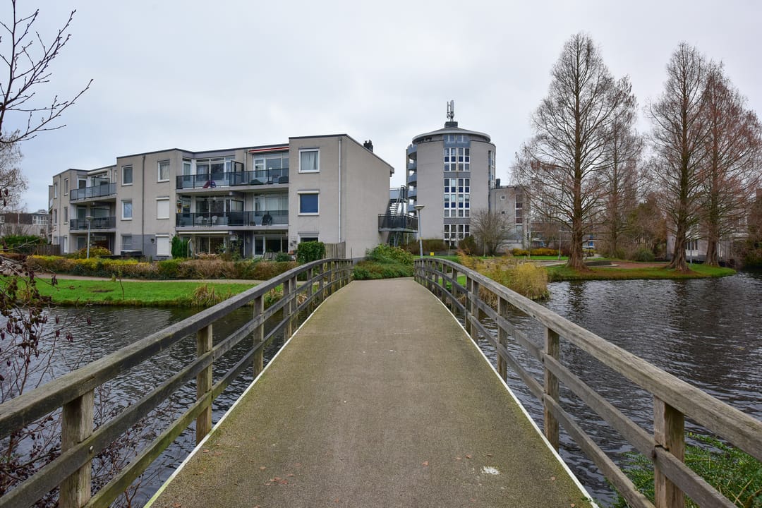 Foto 32 van Canadese Gans 43