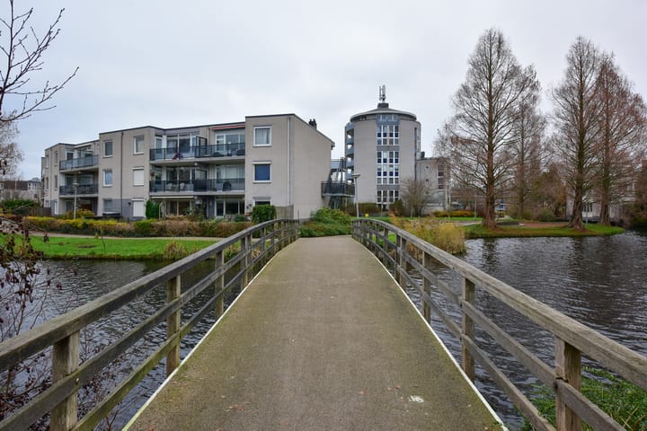 Foto 32 van Canadese Gans 43