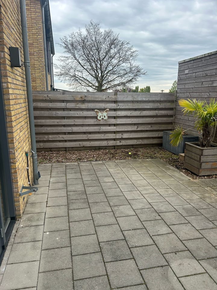 Foto 15 van De Bongerd 2-B