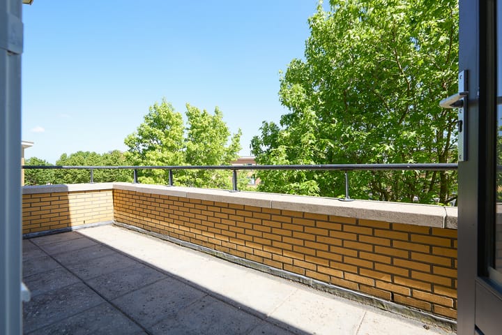 Photo 46 of Laan van Loevestein 21