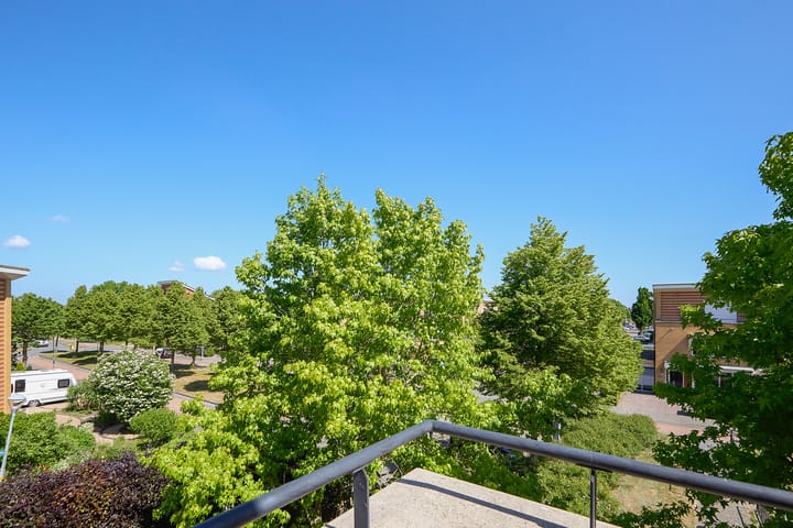 Photo 50 of Laan van Loevestein 21