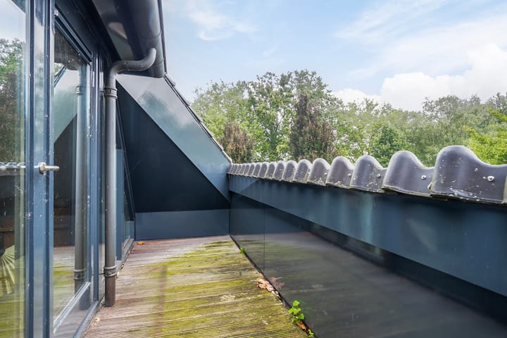 Foto 35 van Dintherseweg 41