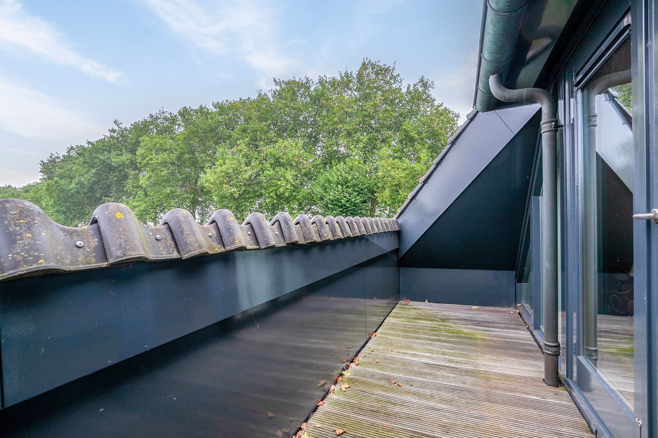 Foto 42 van Dintherseweg 41