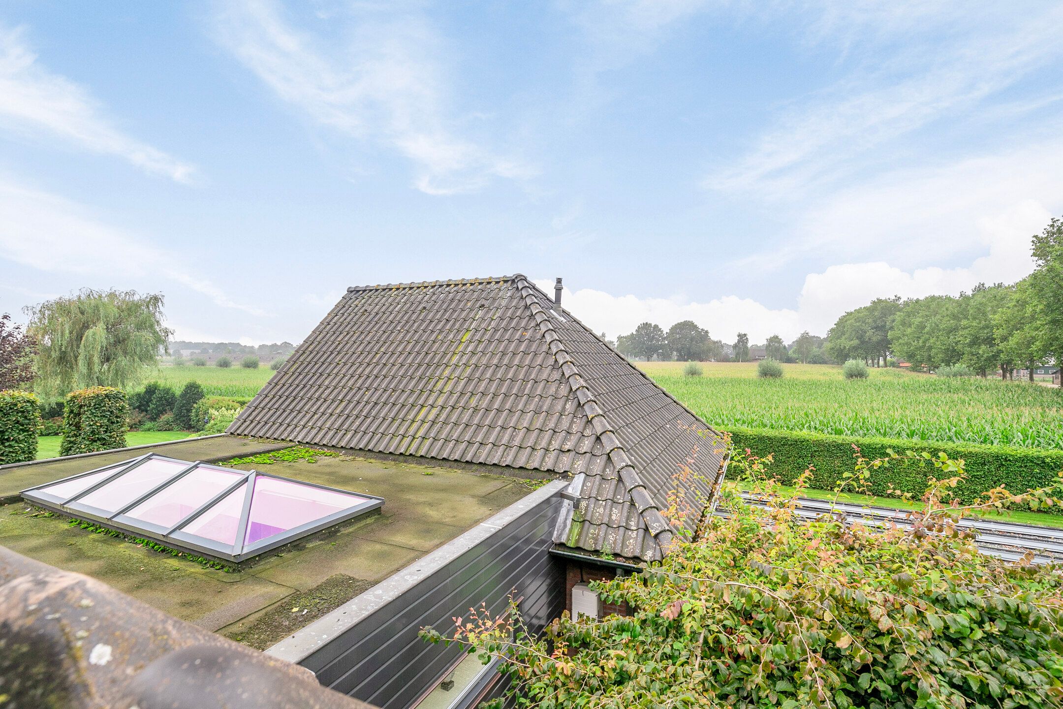 Foto 54 van Dintherseweg 41