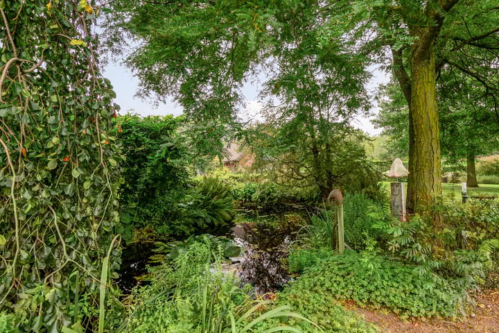 Foto 59 van Dintherseweg 41