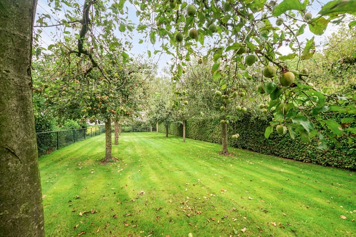 Foto 63 van Dintherseweg 41