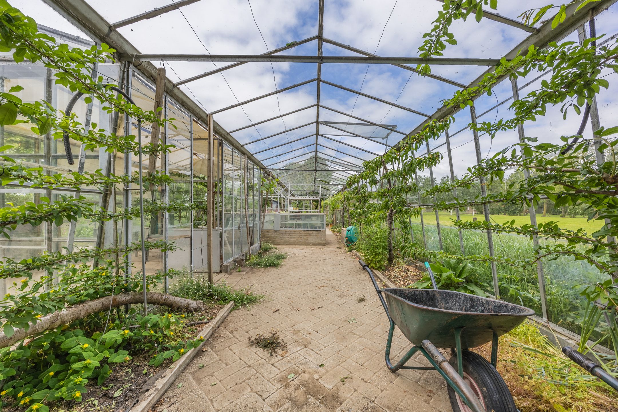 Foto 51 van Lutterweg 17